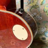 D'Agostino Les Paul Copy