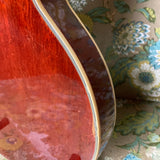 D'Agostino Les Paul Copy