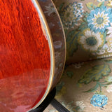 D'Agostino Les Paul Copy