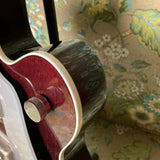 Gretsch G6119-62 Chet Atkins Tennessee Rose 2006