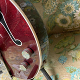 Gretsch G6119-62 Chet Atkins Tennessee Rose 2006