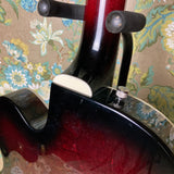 Gretsch G6119-62 Chet Atkins Tennessee Rose 2006