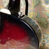 Gretsch G6119-62 Chet Atkins Tennessee Rose 2006