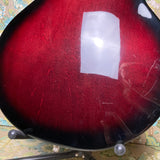 Gretsch G6119-62 Chet Atkins Tennessee Rose 2006