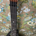 Ernie Ball Music Man Custom Stingray 2019