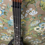 Ernie Ball Music Man Custom Stingray 2019