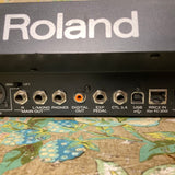 Roland VG-99