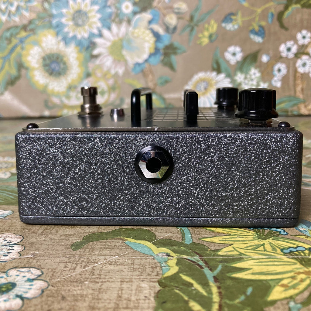 mesa eq pedal Mesa Boogie Five-Band Graphic EQ – eastside music supply