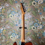 Fender '69 Telecaster Thinline Natural Walnut 2003 MIM
