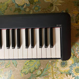 Casio CDP-S100 88-Key Digital Piano