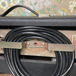 Ampeg B-25 Bass/Guitar 55-Watt Amp 1976-1977