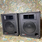 Sunn (Fender) Model 1201 12" PA Speakers