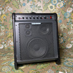 Fishman Loudbox Pro Acoustic Amp PRO-LBX-001