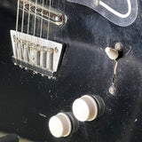 Jerry Jones Neptune 6-String