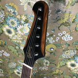 Gibson Firebird V 2007 Sunburst w/OHSC