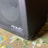Peavey 5150 2x12 60 watt Combo