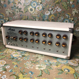 Aims Personalized Vocal Sound System 100 Watt Vintage Tube Amp PA Head 1972