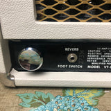 Aims Personalized Vocal Sound System 100 Watt Vintage Tube Amp PA Head 1972