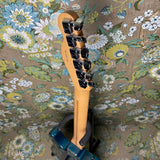 Fender American Standard Telecaster Lake Placid Blue 2001