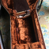 Alvarez Vintage Case